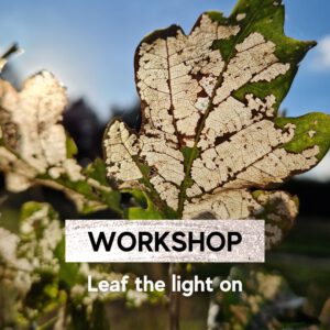 Workshop: "leaf the light on" 16 maart